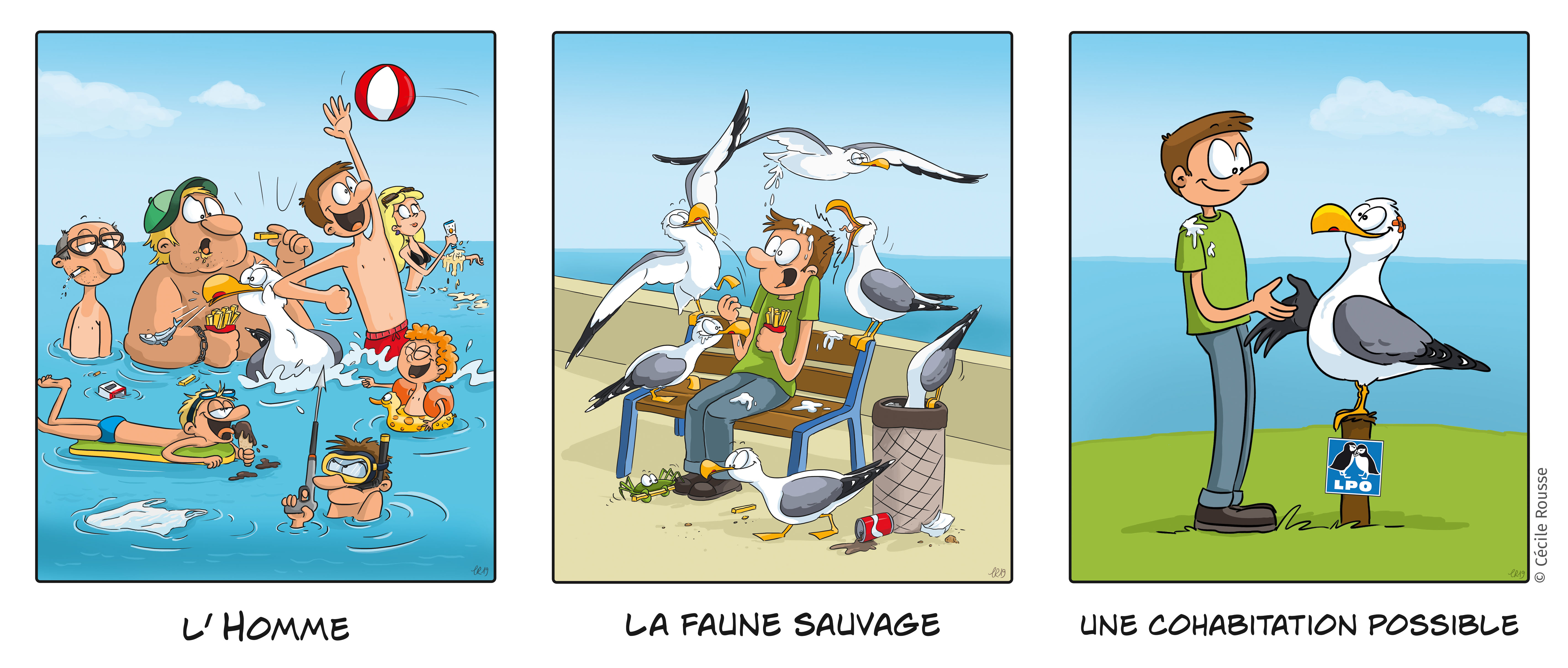 Tourterelles turques